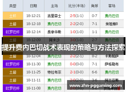 提升费内巴切战术表现的策略与方法探索